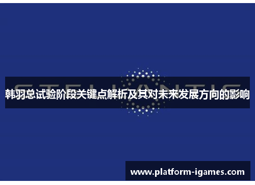 韩羽总试验阶段关键点解析及其对未来发展方向的影响