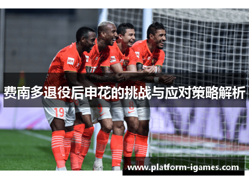 费南多退役后申花的挑战与应对策略解析